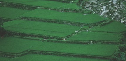 featured00_landscape.jpg